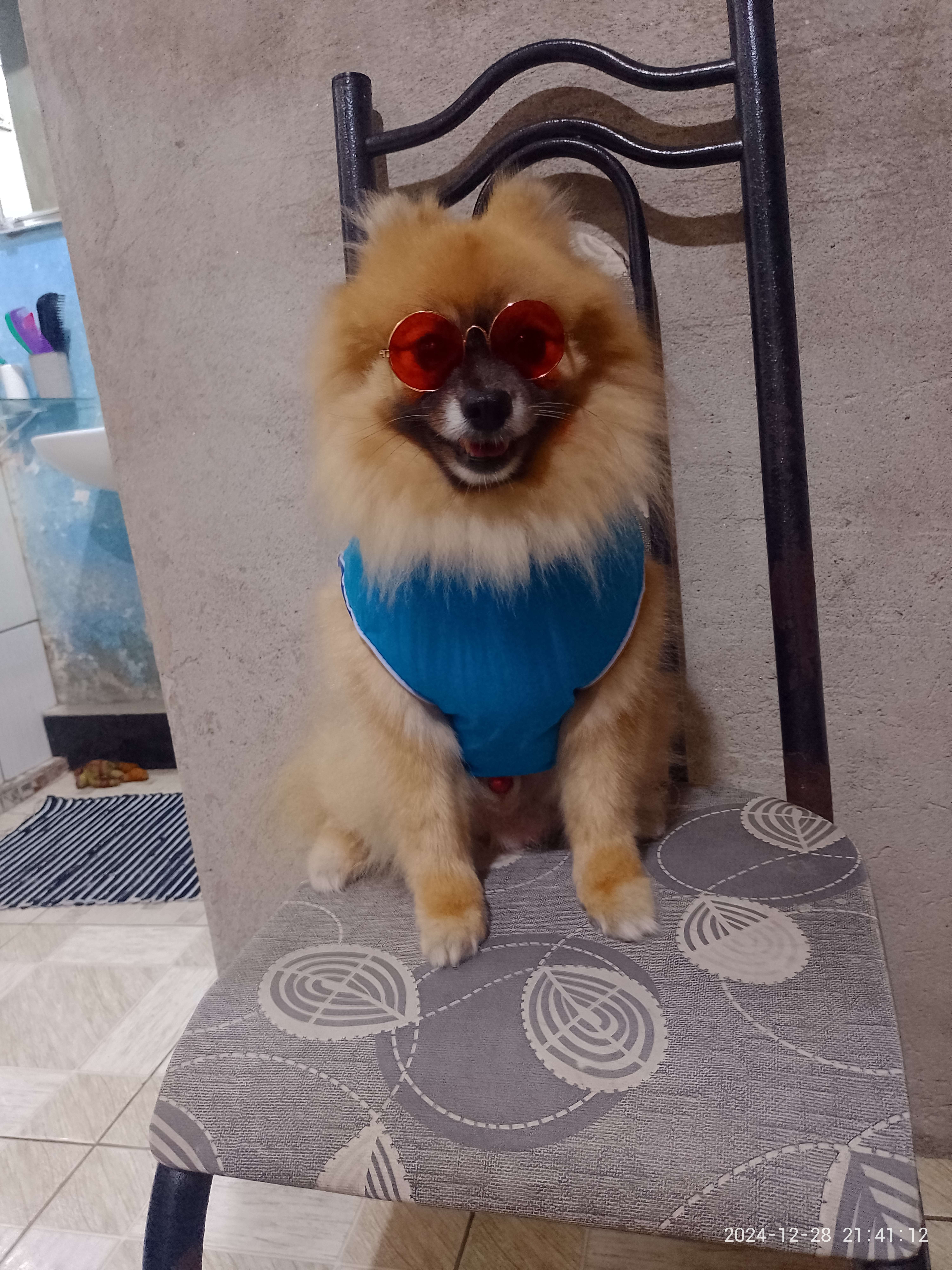 yrandutra Profile Picture