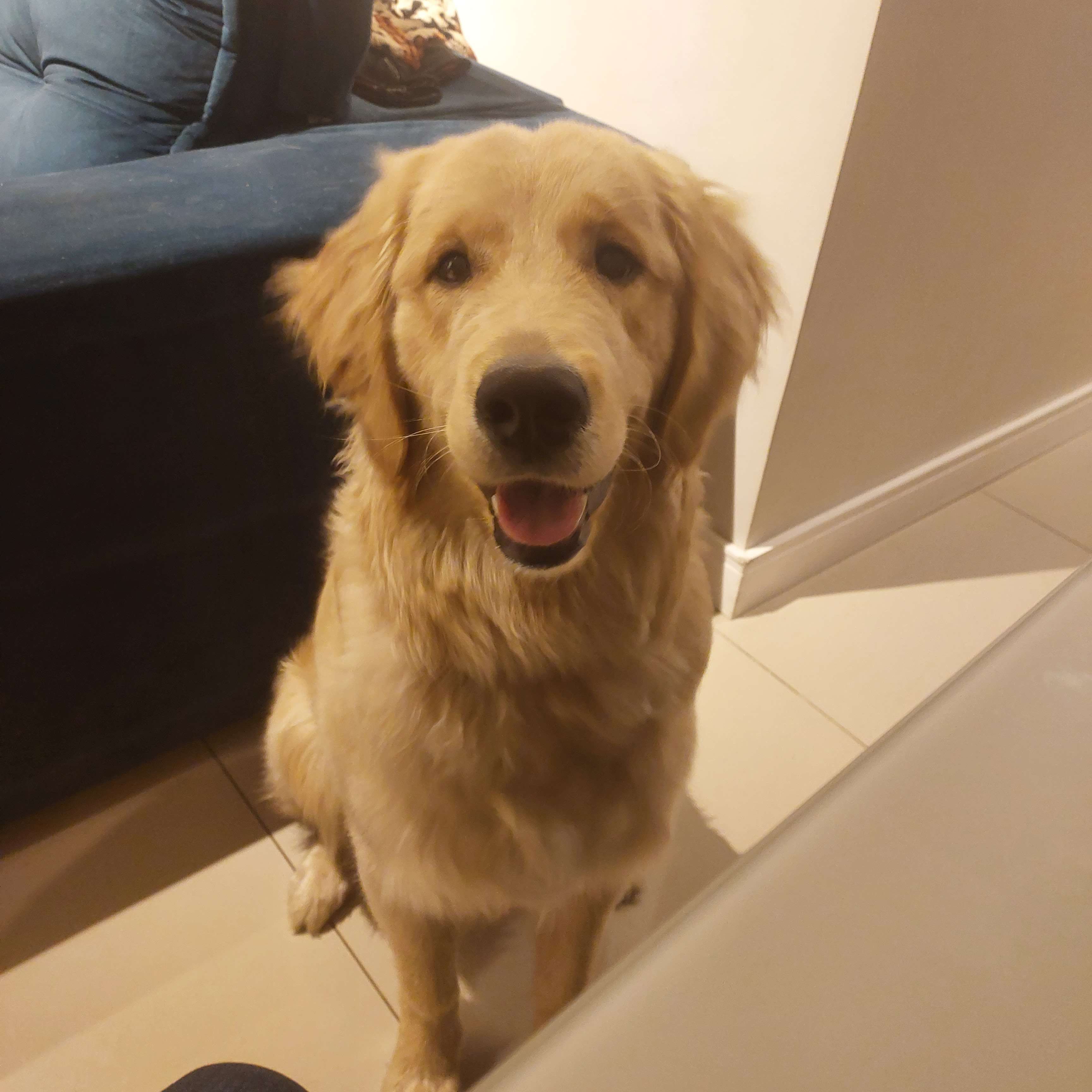 Chopp Profile Picture